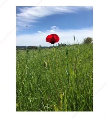 photo bulletin juin2021