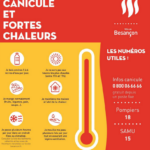 canicule