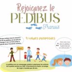 pedibus