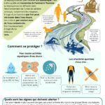 Flyer de prévention contre la LEPTOSPIROSE